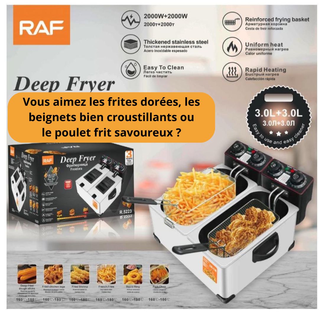 Friteuse Électrique Professionnelle Inox – 5L